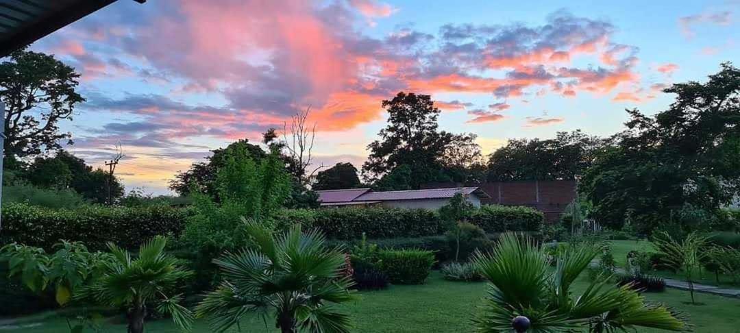 Palette Alaya Resort, Corbett ناينيتال المظهر الخارجي الصورة