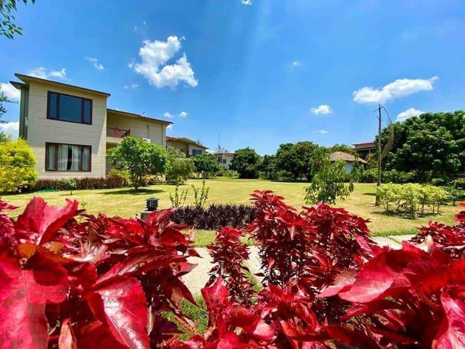 Palette Alaya Resort, Corbett ناينيتال المظهر الخارجي الصورة