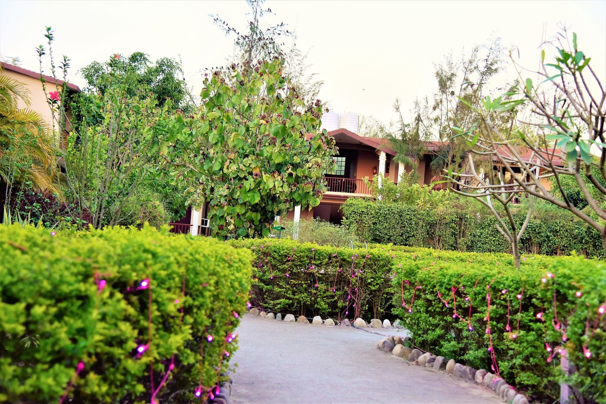 Palette Alaya Resort, Corbett ناينيتال المظهر الخارجي الصورة